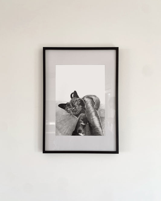 Graphite Pet Portrait Gift Voucher